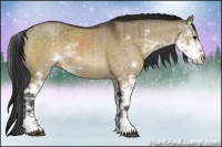 Horse Color:Brown Dun Sabino Brindle 