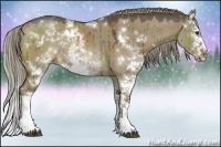 Horse Color:Liver Red Dun Sabino Splash Rabicano