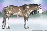 Horse Color:Brown Dun Sabino Splash Rabicano 