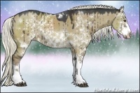 Horse Color:Liver Red Dun Sabino Rabicano