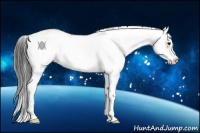 Horse Color:Bay Dun Sabino