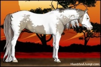 Horse Color:Liver Red Dun Splash Tobiano 