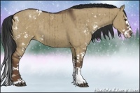 Horse Color:Liver Red Dun Sabino Splash Rabicano Brindle 