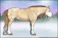 Horse Color:Gold Champagne Dun Sabino Splash Brindle