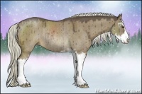 Horse Color:Liver Red Dun Sabino Rabicano