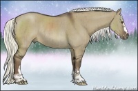 Horse Color:Liver Red Dun Sabino Rabicano Brindle