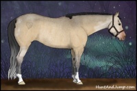 Horse Color:Brown Roan Dun Rabicano Brindle 