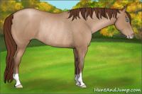Horse Color:Gray Buckskin Pearl Rabicano 
