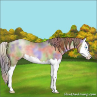 Horse Color:Nacre Smoky Black Pearl Splash 