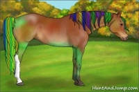 Horse Color:Painted Brown