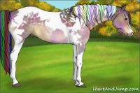 Horse Color:Painted Buckskin Tobiano 