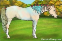 Horse Color:Buckskin Pearl 