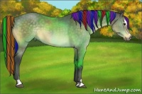 Horse Color:Painted Buckskin Sabino 