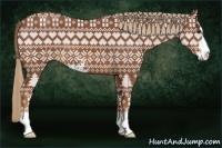 Horse Color:Chestnut Sabino 