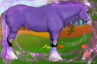 Horse Color:Watercolor Black Splash