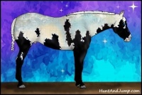 Horse Color:Plaid White Spotted Chocolate Palomino Ice Dun Splash