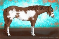 Horse Color:Chestnut Frame 