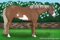 Horse Color:Chestnut Frame