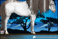 Horse Color:White Spotted Bay Frame Appaloosa