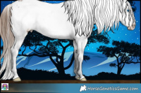 Horse Color:White Spotted Bay Frame Appaloosa 