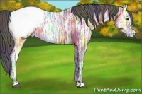 Horse Color:Nacre Bay Ice Appaloosa 