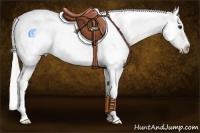 Horse Color:Silver Buckskin Sabino Splash Tobiano Frame Rabicano 