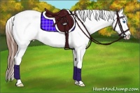 Horse Color:Red Dun Sabino Splash Rabicano