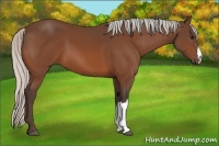 Horse Color:Silver Bay 