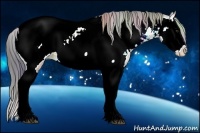 Horse Color:Nacre Liver Red Onyx Ice Splash Appaloosa 