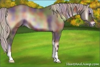 Horse Color:Nacre Silver Blue Onyx 