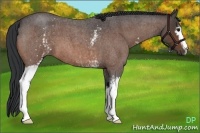Horse Color:White Spotted Brown Roan 