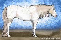 Horse Color:White Spotted Chocolate Palomino Pearl Blanket 