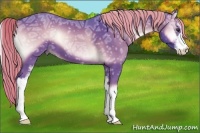 Horse Color:Watercolor Chocolate Palomino Ice Onyx Sabino