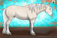 Horse Color:Silver Perlino Sabino Rabicano 