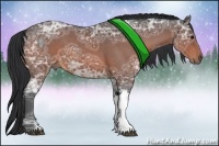 Horse Color:Brown Ice Roan 