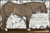 Horse Color:Liver Red Dun Rabicano 