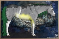 Horse Color:Painted White Spotted Smoky Grullo Chinchilla 