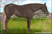 Horse Color:Liver Chestnut Rabicano 