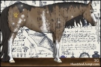 Horse Color:White Spotted Liver Red Dun 