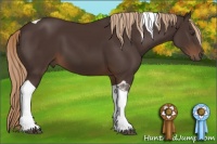 Horse Color:Liver Chestnut Tobiano 