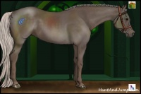 Horse Color:Silver Black 