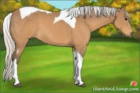 Horse Color:Silver Buckskin Tobiano 