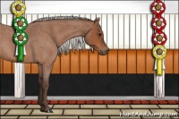 Horse Color:Silver Bay Roan 