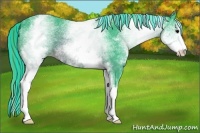 Horse Color:Painted Watercolor White Spotted Brown Sabino 