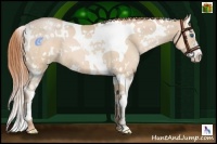 Horse Color:White Spotted Buckskin Pearl Splash Tobiano 