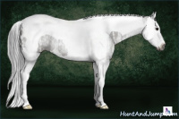 Horse Color:Gray Grullo Ice Splash Tobiano Rabicano 