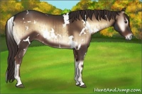 Horse Color:White Spotted Liver Red Onyx Brindle 