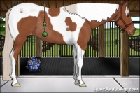 Horse Color:Silver Bay Tobiano Appaloosa Rabicano 