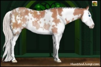 Horse Color:White Spotted Silver Bay Splash Rabicano