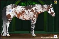 Horse Color:White Spotted Brown Ice Splash